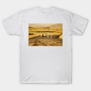 Once Upon a Time in the West T-Shirt